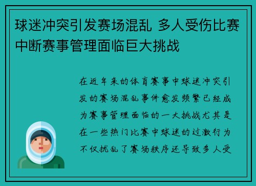 球迷冲突引发赛场混乱 多人受伤比赛中断赛事管理面临巨大挑战
