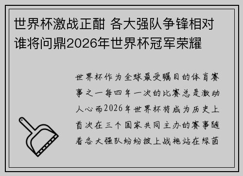 世界杯激战正酣 各大强队争锋相对 谁将问鼎2026年世界杯冠军荣耀